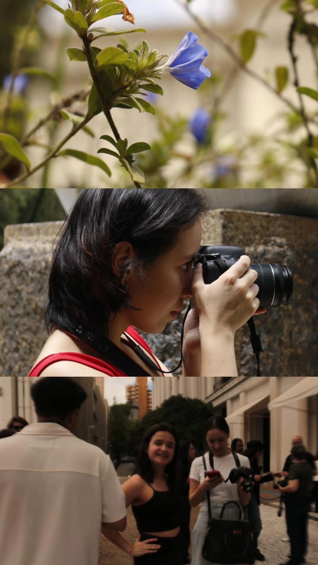 Colagem de fotos da Isa — câmera, flor e amigos